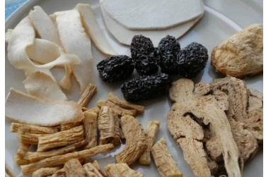 中藥方劑白術(shù)茯苓散的配方組成及白術(shù)茯苓散的功效與用法！