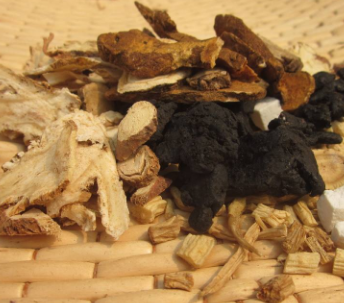中藥方劑白術茯苓湯的配方組成及白術茯苓湯的功效與用法！