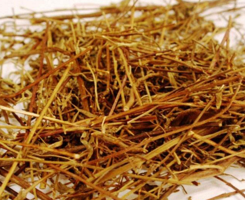 中藥方劑香薷飲的配方與組成及其香薷飲的功效主治！