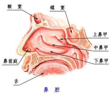 鼻竇氣壓性創(chuàng)傷