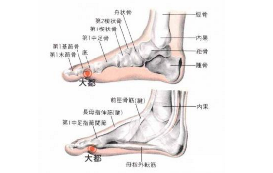 大都穴的功效與作用有哪些