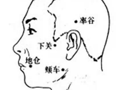 地倉(cāng)穴的示意圖