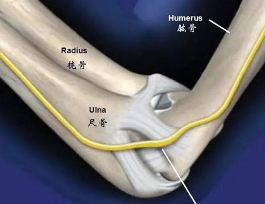 尺神經(jīng)損傷