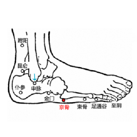 京骨穴的準(zhǔn)確位置及按摩京骨穴的功效與作用！