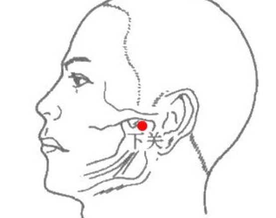 下關(guān)穴的作用