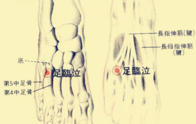足臨泣穴的準(zhǔn)確位置