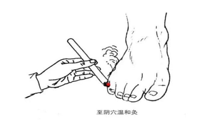 至陰穴的功效與作用