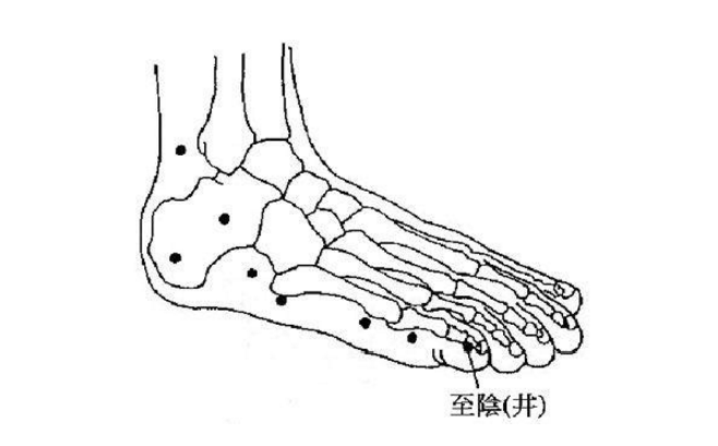 至陰穴的準(zhǔn)確位置