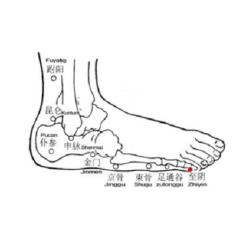至陰穴的位置及艾灸至陰穴的功效與作用有哪些？