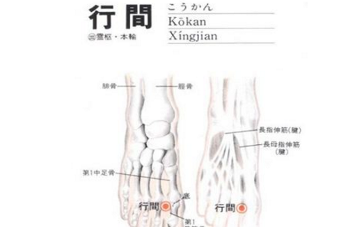 行間穴的圖片