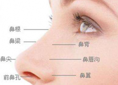 磕碰能導(dǎo)致創(chuàng)傷性鼻中隔穿孔嗎，治療方法有哪些？