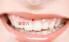 齦交穴的位置及其齦交穴治療痔瘡的方法詳解！