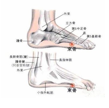 束骨穴的準確位置及按摩束骨穴的功效與作用！