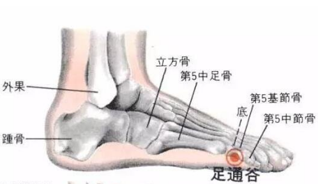 足通谷穴的準(zhǔn)確位置在哪