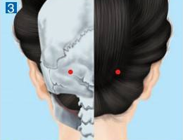 腦空穴穴位配伍