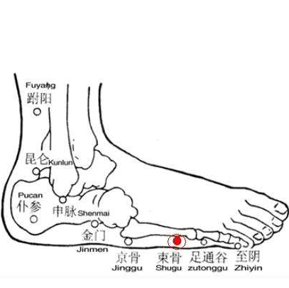 束骨穴在哪？經常按摩有什么作用！