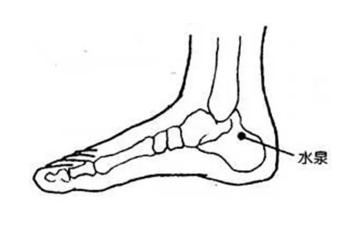 水泉穴的標(biāo)準定位