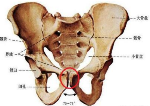 腹直肌鞘內(nèi)血腫的表現(xiàn)