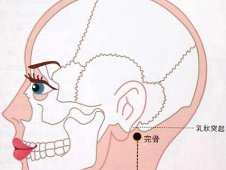 完骨穴