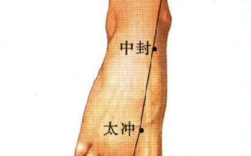 中封穴的功效與作用
