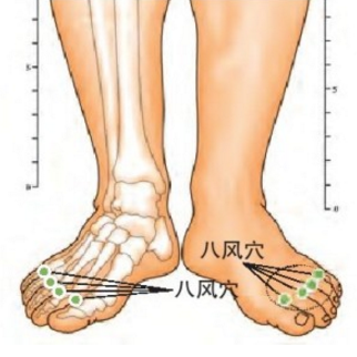 八風(fēng)穴的準確位置及按摩八風(fēng)穴的功效與作用有哪些？