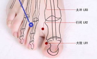 內(nèi)庭穴的功效與作用