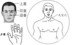 天突穴的位置怎么找？按摩天突穴的作用與方法