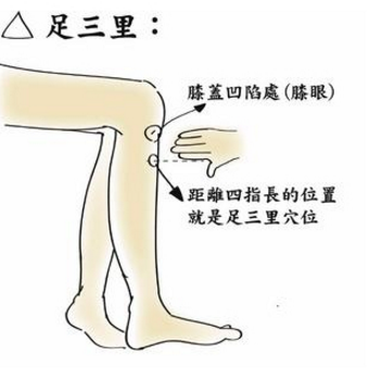 足三里穴的準(zhǔn)確位置及艾灸足三里穴的好處有哪些？