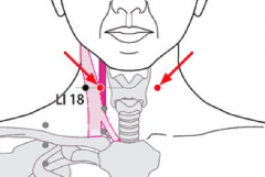 按摩人迎穴治療高血壓的方法及其人迎穴位位置！