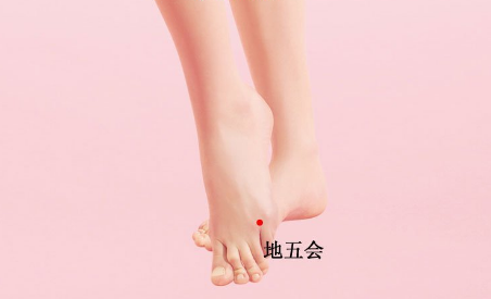地五會穴的功效與作用