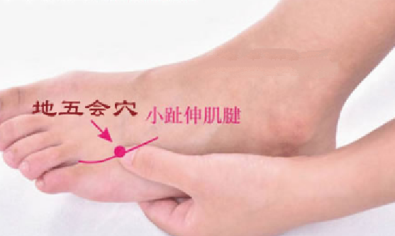 地五會穴的取穴方法