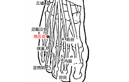 地五會穴的圖片