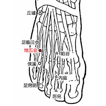 地五會(huì)穴的準(zhǔn)確位置及其功效與作用！