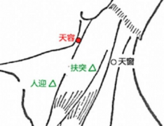 經(jīng)常按摩天容穴的好處有哪些？天容穴的準(zhǔn)確位置