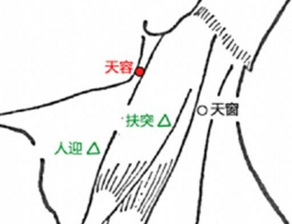 天容穴的示意圖