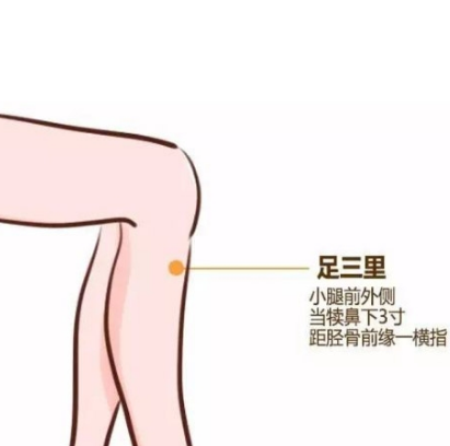 中醫(yī)按摩：常按足三里，強身健體助長壽！