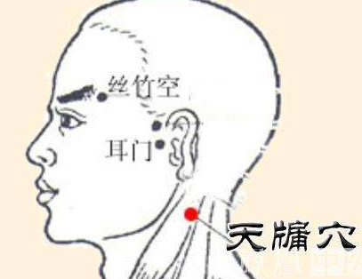 天牖穴圖片