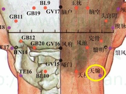 按摩天牖穴