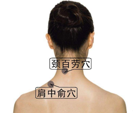 頸百勞穴