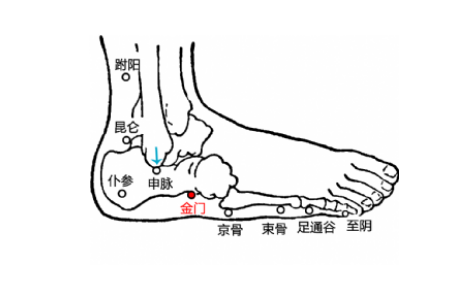 金門(mén)穴的準(zhǔn)確位置