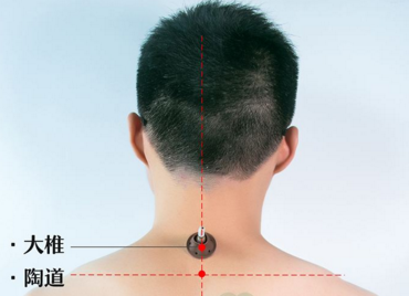 陶道穴主治病癥