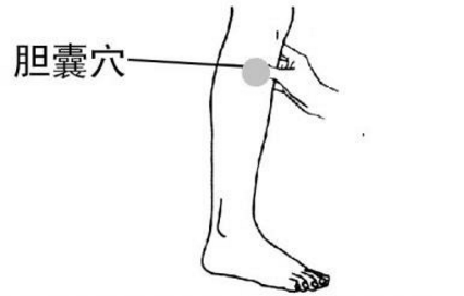 膽囊穴的圖片