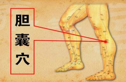 膽囊穴的功效與作用