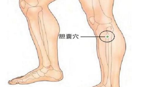 膽囊穴主治疾病有哪些