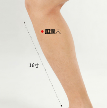 膽囊穴的準確位置及其按摩膽囊穴的功效與作用！