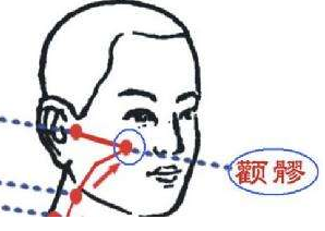 顴髎穴示意圖