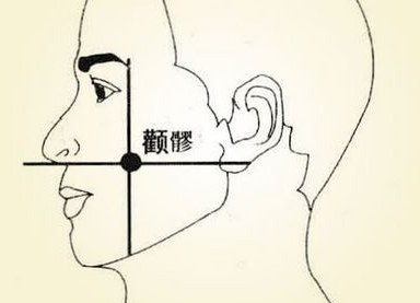 顴髎穴圖片