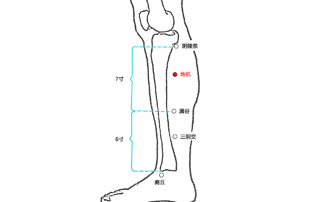 地機(jī)穴的按摩方法