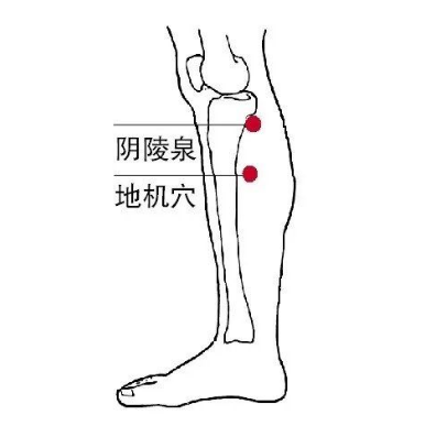 地機(jī)穴能治療糖尿病？它