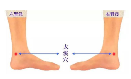 太溪穴的位置